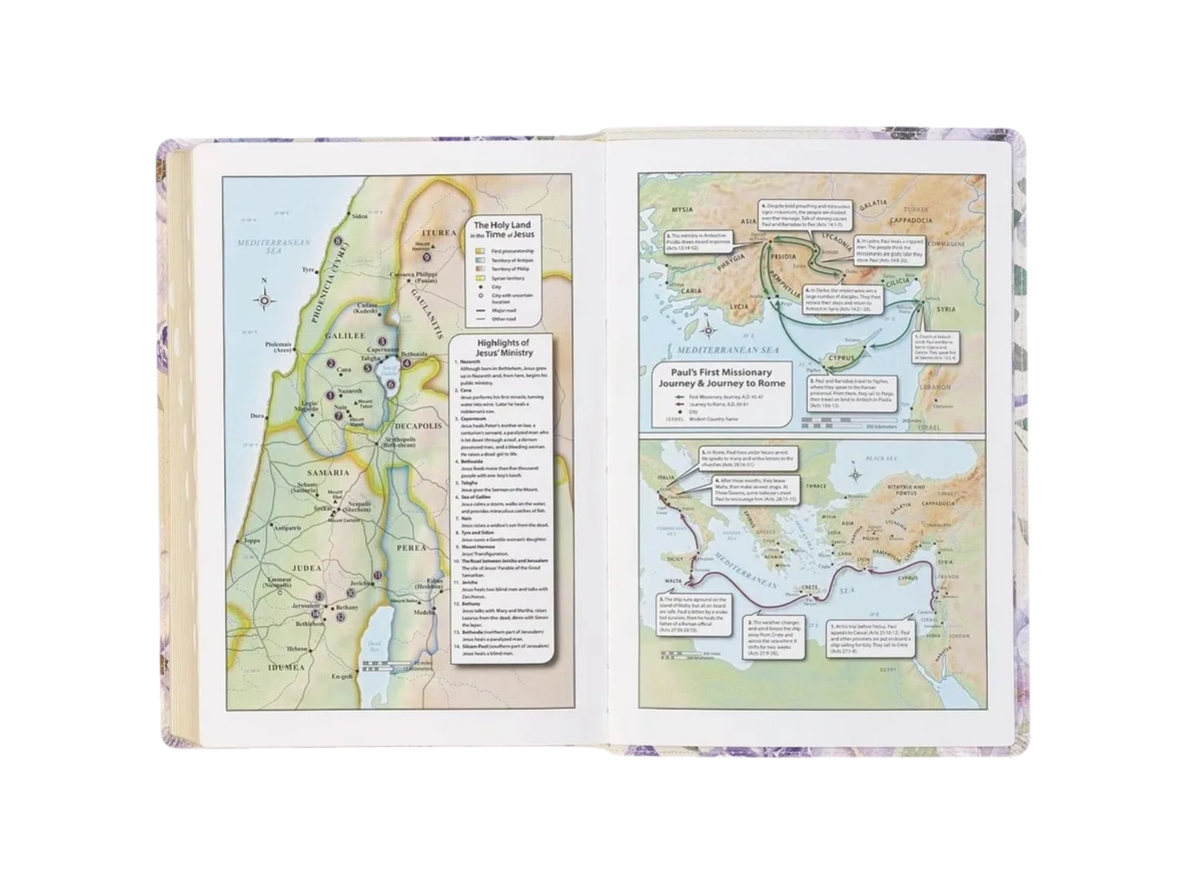 Lavender Floral Giant Print Full-size KJV Bible w Thumb Index