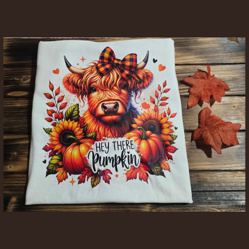 Hey There Pumpkin short sleeve tee shirt